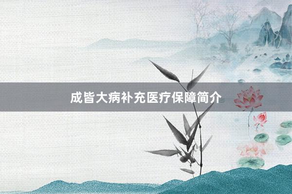 成皆大病补充医疗保障简介